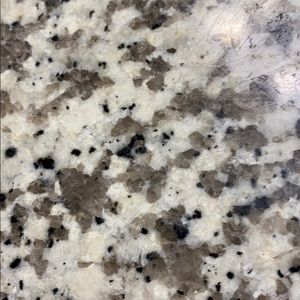 Meet your Posher, Jake